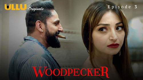 Woodpecker Season 1 Episode 3 - Episode 3