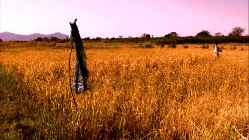 Human Planet Season 1 Episode 6 - Grasslands: Roots of Power