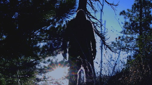 Ancient Aliens Season 20 Episode 2 - The Top Ten Extraordinary Creatures
