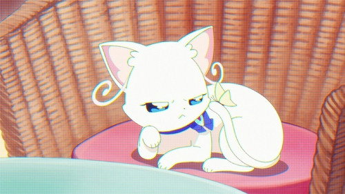 Wonderful Precure! Season 1 Episode 31 - Nyanfluencer Mayu