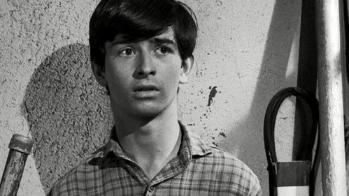 The Fugitive Season 2 Episode 29 - The Old Man Picked a Lemon