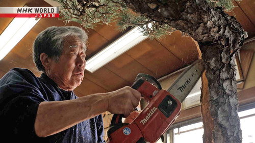 FRONTRUNNERS Season 2 Episode 16 - Bonsai Master - Kobayashi Kunio