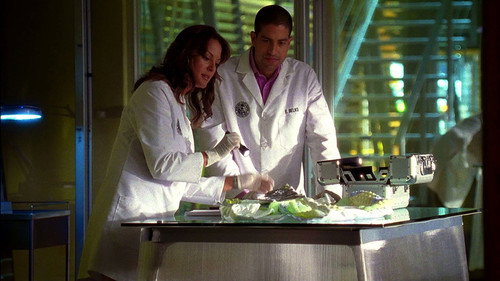 CSI: Miami Season 7 Episode 5 - Bombshell