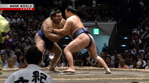 GRAND SUMO Highlights Season 23 Episode 9 - Day 9