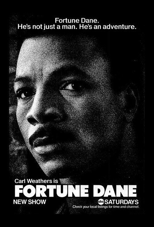 Fortune Dane poster