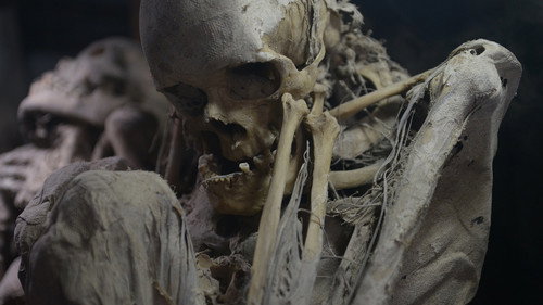 Secrets of the Dead Season 13 Episode 3 - Carthage's Lost Warriors