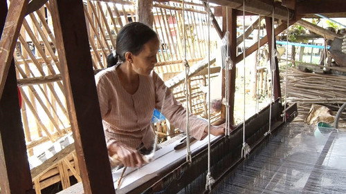 Asia Insight Season 8 Episode 19 - Homegrown Cotton for a Homegrown Brand: Myanmar