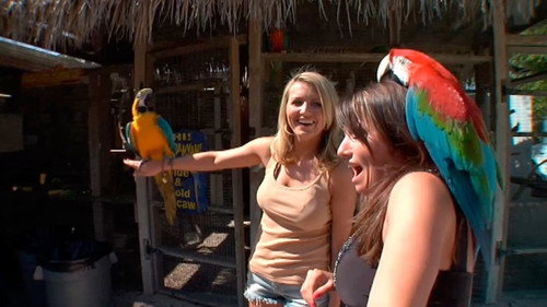 Callejeros viajeros Season 5 Episode 18 - Episode 18