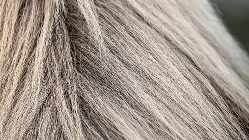 How Do They Do It? Season 13 Episode 10 - The Tesla, Horsehair Fabrics, Pool Cleaners