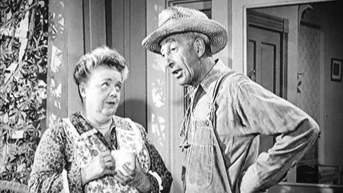undefined Season 4 Episode 15 - Aunt Bee the Crusader