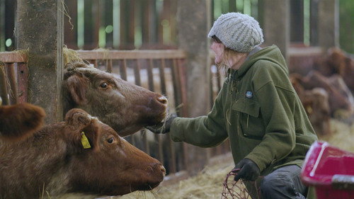 Our Farm Next Door: Amanda, Clive and Kids Season 1 Episode 1 - Episode 1