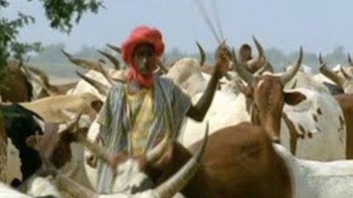 Nature Season 20 Episode 5 - Africa: Love in the Sahel