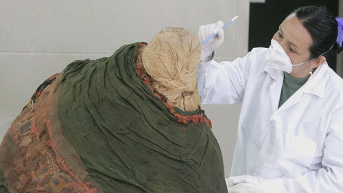 Ancient Aliens Season 10 Episode 5 - The Alien Evolution