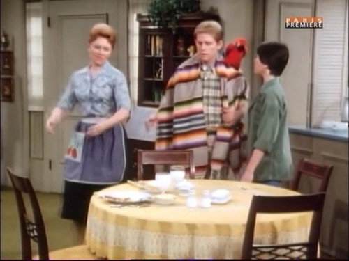 Happy Days Season 5 Episode 26 - Fonzie for the Defense