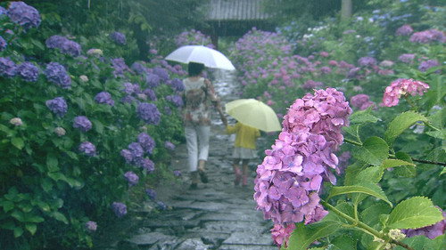 Magical Japanese Season 1 Episode 1 - Rain