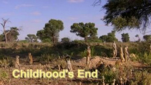 Meerkat Manor Season 1 Episode 5 - Childhood's End