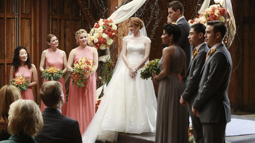 Grey's Anatomy Season 10 Episode 12 - Get Up, Stand Up