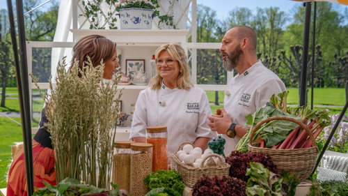 Hela Sverige bakar Season 13 Episode 3 - Episode 3