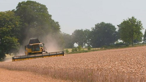 Harvest Special still