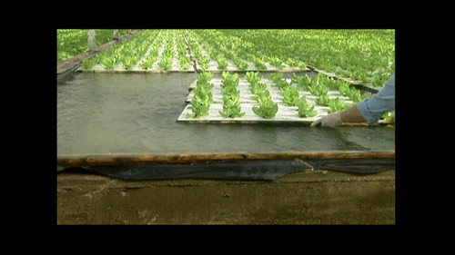 How It's Made Season 2 Episode 5 - Hydroponic Lettuce, Construction Wood, Recycling, Fishing Flies