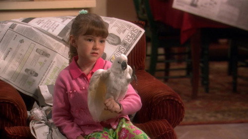 According to Jim Season 2 Episode 24 - No Harm, No Fowl