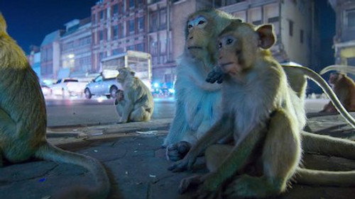 Night on Earth Season 1 Episode 5 - Sleepless Cities