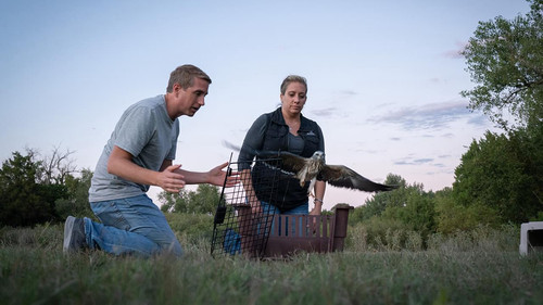 Making Good Season 2 Episode 5 - Wild West Wildlife