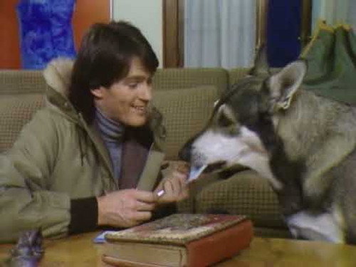 The Littlest Hobo Season 1 Episode 19 - Romiet and Julio