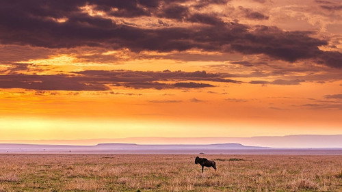 Ulisse - The Pleasure of Discovery Season 12 Episode 15 - The Wonders of the Rift Valley