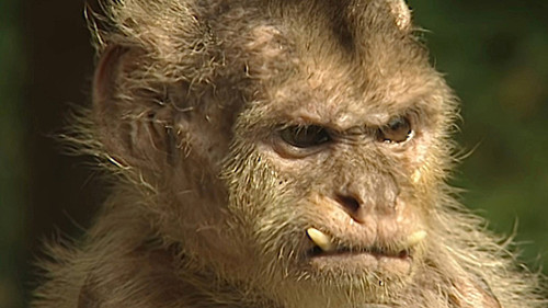 Monkey Business Season 6 Episode 1 - Episode 1
