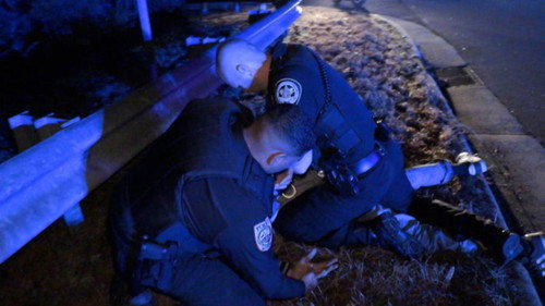 Multi Department Pursuit still