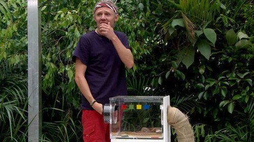 I'm a Celebrity...Get Me Out of Here! Season 14 Episode 8 - The Critter Cube (Misery Match)