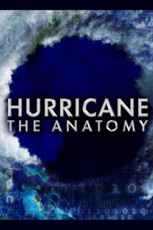 Hurricane the Anatomy poster
