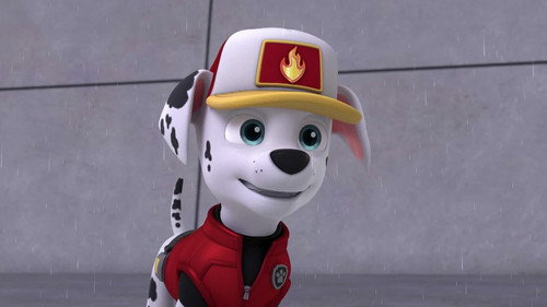 PAW Patrol Season 9 Episode 1 - Big Truck Pups: Pups Stop a Flood