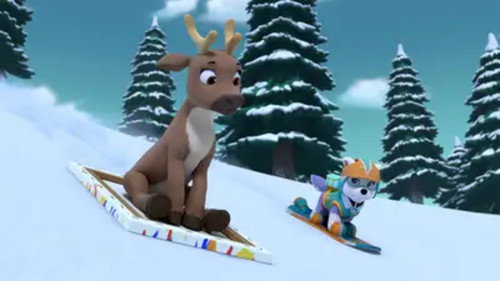 Pups Save a Baby Caribou still
