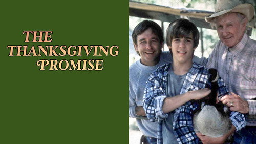 The Wonderful World of Disney Season 31 Episode 8 - The Thanksgiving Promise