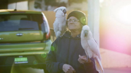 The Street Vet Season 1 Episode 4 - Barbara's Birds