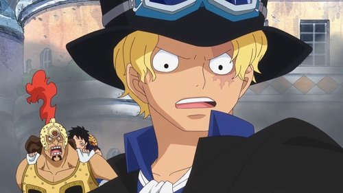 Flame Dragon King! Protect Luffy's Life! still