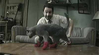 undefined Season 5 Episode 8 - Paddy's Pub: Home of the Original Kitten Mittens
