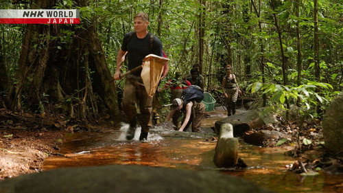 Stopping the Next Pandemic: The Virus Hunters' Mission - Part 1 still