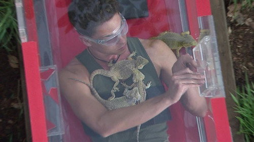 I'm a Celebrity...Get Me Out of Here! Season 13 Episode 1 - Turntable of Terror