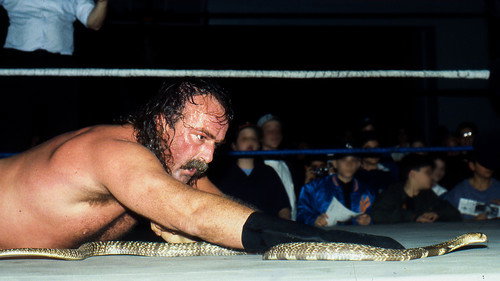 Dark Side of the Ring Season 3 Episode 6 - In The Shadow of Grizzly Smith