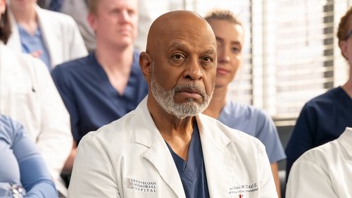 Grey's Anatomy Season 21 Episode 14 - Love in the Ice Age
