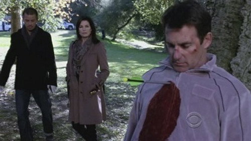 CSI: NY Season 8 Episode 13 - The Ripple Effect