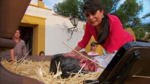 La Malquerida Season 1 Episode 1 - Episode 1
