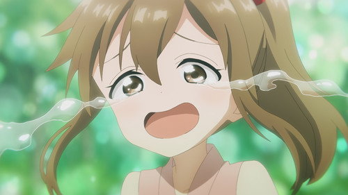 In the Heart of Kunoichi Tsubaki Season 1 Episode 12 - Rivals / Picture of a Man