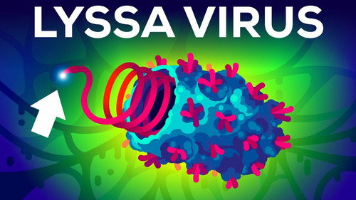 Kurzgesagt - In a Nutshell Season 10 Episode 8 - The Deadliest Virus on Earth