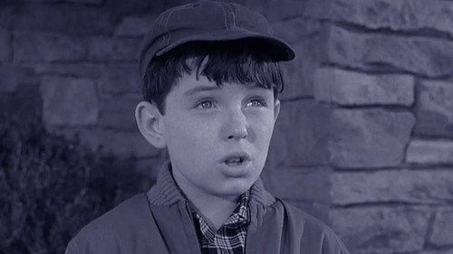 Leave It to Beaver Season 3 Episode 20 - Beaver and Andy