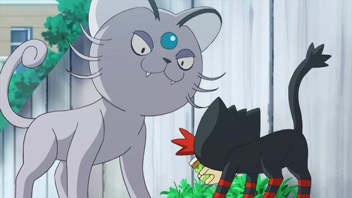 Pokémon Season 20 Episode 7 - That's Why the Litten is a Scamp!