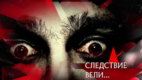 The investigation was conducted Season 11 Episode 12 - Episode 12